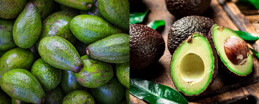 ovacado